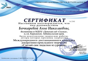 Бочкаревой Анне Николаевне